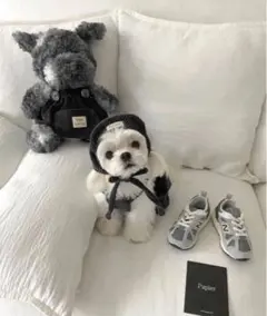 Item thumbnail for item 06aa370f-1bbb-4f40-88b2-580a2f8c1ca0