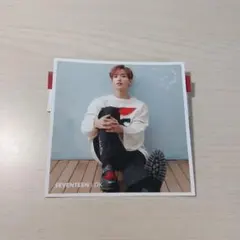 SEVENTEEN セブチ ドギョム 舞い落ちる花びら ポストカード