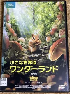 新品未開封 小さな世界はワンダーランド TVオリジナル完全版〈2枚組