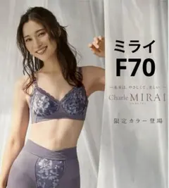 2025年最新】シャルレ ミライブラジャーの人気アイテム - メルカリ