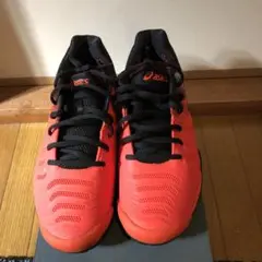 ゲルレゾリューション 26