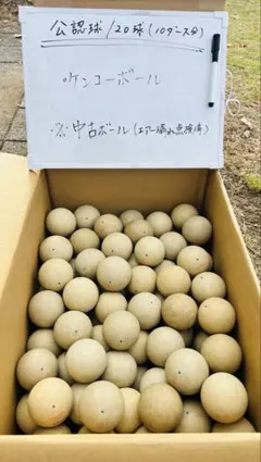 【中古】ソフトテニスボール120球(公認球・ナガセケンコー)