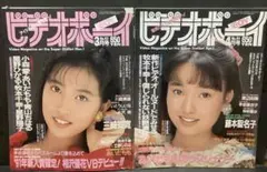 ビデオボーイ　No.83 84 3,4 月号