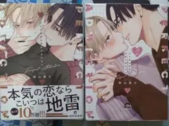 「パーフェクトアディクション 」1巻2巻 美山薫子
