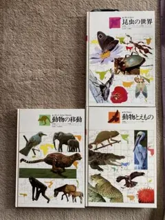 廃盤品　学研研究社　図鑑　1-20全巻＋別巻総索引＋原色ワイド続巻5冊　セット 2025年最新】学研 原色ワイド図鑑の人気アイテム - メルカリ