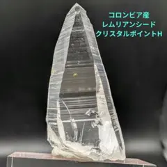 2025年最新】コロンビアレムリアンシードの人気アイテム - メルカリ