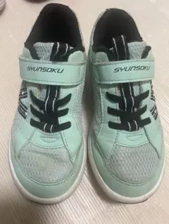 Item thumbnail for item 65428a15-c7c8-47d5-9703-55d7eb5e5bdb