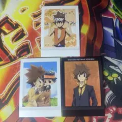 家庭教師ヒットマンREBORN ぱしゃこれ 沢田綱吉 3枚セット