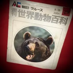 週刊　動物たちの地球全144巻揃い　朝日新聞社発行　定価74880円 美品 週刊 動物たちの地球全144巻揃い 朝日新聞社発行 定価74880円 美品