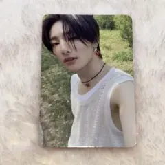 Stray Kids MAXIDENT アイエン トレカ