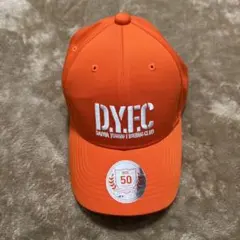 Item thumbnail for item 8cc25ada-aa25-42ae-98de-ace3db04ea4f