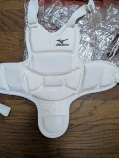 Item thumbnail for item 894966e4-e01d-4abc-a1a7-70687923d6e0