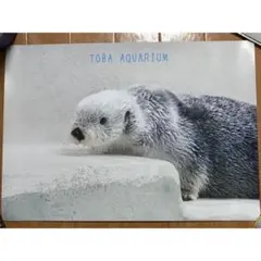 鳥羽水族館　ラッコ　メイちゃん　ポスター　ステッカー