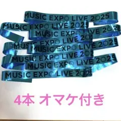 ホロライブ 銀テ expo 銀テープ　fes フェス　紙ふぶき　ライブ　銀テ ホロライブ 銀テ expo 銀テープ fes フェス 紙ふぶき ライブ 銀テ 2025