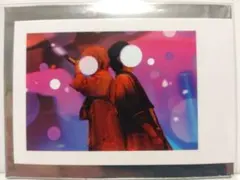 いれいす ないふ 実写チェキ 2024 Irregular Vacation