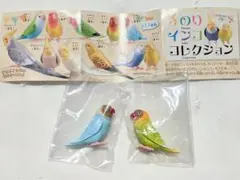 手のりインココレクション　ボタンインコ2種類