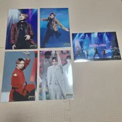 井上瑞稀 ステフォ