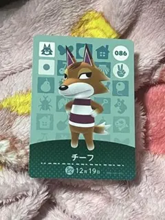 チーフ　アミーボカード　あつ森