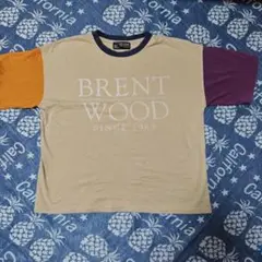キュ―ブシュガー半袖Ｔシャツ