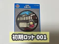 Item thumbnail for item c8486193-6b8b-48ed-870c-d52d61d76b90