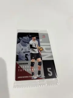 バレーボール男子日本代表 トレーディングカード 大塚達宣