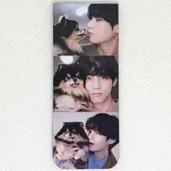 BTS テテ＆ヨンタン マグネットブックマーク マグネットしおり