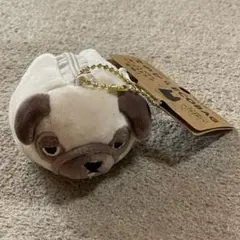 Francfranc フランフラン てのひらECOBAG エコバッグ