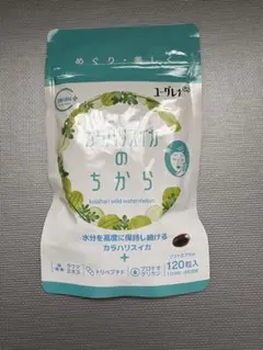 Item thumbnail for item fdbec253-76a7-48d2-bbf3-58bc7049e172