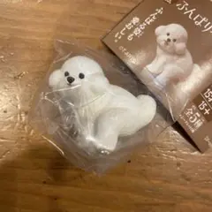 ふんばりーぬ2 ビションフリーゼ