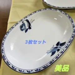 【美品】YUKIKO HANAI 3枚セット パスタ・カレー皿 24.5cmのサムネイル