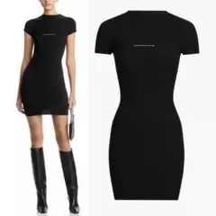 【最終値下げ】alexanderwang ミニワンピース ブラック 2026年最新】Alexander Wang レディース ミニワンピースの人気アイテム