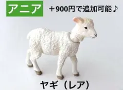 アニア　ヤギ　やぎ　レア　動物　美品　恐竜　水族館　フィギュア