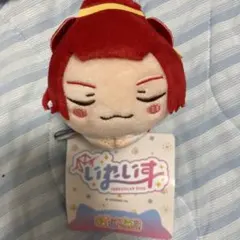 新品 いれいす おひるねこ マスコット りうら 寝そべり ぬいぐるみ