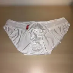 gx3 WESTERN ゼブラ ビキニ　Mサイズ