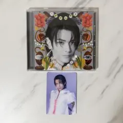 原因は自分にある。 武藤潤文藝解体新書 武藤潤盤 CD トレカ