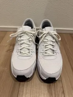 Nike Air Max ホワイト/ブラック スニーカー