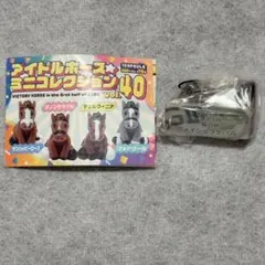 アイドルホースミニコレクション　メイショウタバル