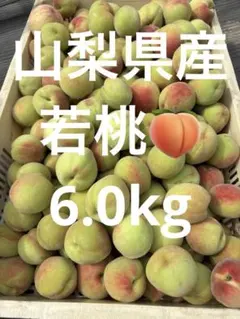 山梨県産　若桃　6.0kgのサムネイル