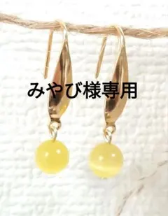 みやび様 リクエスト 3点 サージカルステンレスセット