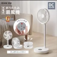 SMART COLLECTION DCモーター扇風機 大型40cm SMART COLLECTION DCモーター扇風機 大型40cm - メルカリ