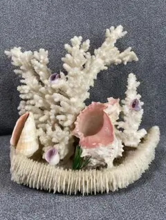 2026年最新】置物 珊瑚の人気アイテム - メルカリ