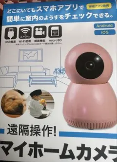 마이 홈 카메라