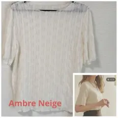 【新品】Ambre Neigeシアーウェーブ　Tシャツのサムネイル