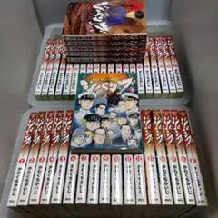 Item thumbnail for item 8246f4ac-b585-4337-95b0-e09f355ee8d9