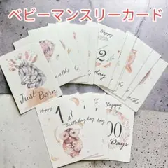 ☆ベビーマンスリーカード 16枚 誕生祝い 月齢カード 記念日 生立ちアルバム☆