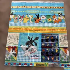 ポケットモンスター 生地 ハギレ 廃盤品