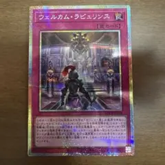 ウェルカム・ラビュリンス プリシク