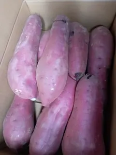 茨城県産紅はるか10kg