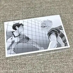 ハイキュー 10thクロニクル フォトスナップカード 月島蛍 牛島若利