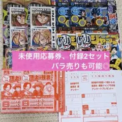 【未使用】最強ジャンプ2026年5月号 応募券 2枚セット 頂上の強者パック